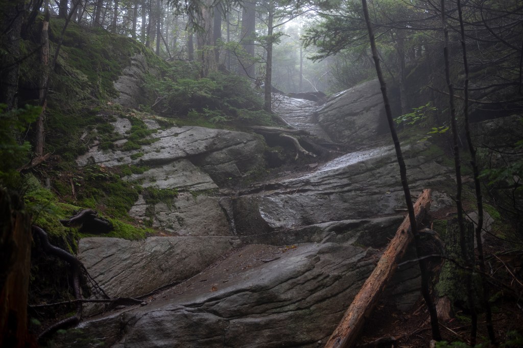 The Township of&nbsp;Wittenberg