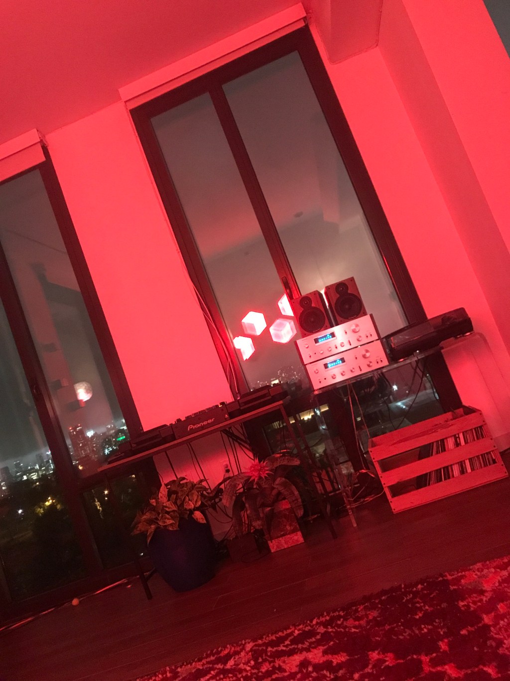 Dalmatians – Opiuo